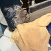https://cdn-ostrovok-ru-ion.test.edgekey.net/t/100x100/hotel_review/23/c2/23c2b1ac675c35b8d44fe3e9db81d20b2c21a637.png