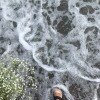 https://cdn-ostrovok-ru-ion.test.edgekey.net/t/100x100/hotel_review/23/e4/23e459f883711e755e5d8e9174d39ec97fb6e61b.jpeg