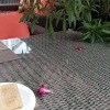 https://cdn-ostrovok-ru-ion.test.edgekey.net/t/100x100/hotel_review/24/1f/241f16d62398fffe11b003ffc9c48c8e188665cd.jpeg