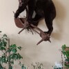 https://cdn-ostrovok-ru-ion.test.edgekey.net/t/100x100/hotel_review/24/73/24734d2843544cbbd3e9da0a800ce75f647f52a1.JPEG