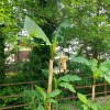 https://cdn-ostrovok-ru-ion.test.edgekey.net/t/100x100/hotel_review/24/7d/247d53e4bcbabe450009b6c0eed66d3f0e8804b8.JPEG