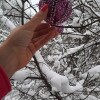 https://cdn-ostrovok-ru-ion.test.edgekey.net/t/100x100/hotel_review/24/b2/24b21cfe2491391a0a74683b987d871f23f0c02b.JPEG