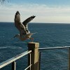 https://cdn-ostrovok-ru-ion.test.edgekey.net/t/100x100/hotel_review/24/d5/24d5d976997ff2749c1167805c8764a556534a84.JPEG