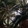 https://cdn-ostrovok-ru-ion.test.edgekey.net/t/100x100/hotel_review/25/4f/254f1fa4cd0bf2f542c0af2764281eaa471c2128.JPEG