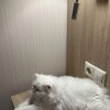 https://cdn-ostrovok-ru-ion.test.edgekey.net/t/100x100/hotel_review/25/5e/255e1652887fedb714e036a94e089e667aa99a8b.jpeg