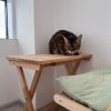 https://cdn-ostrovok-ru-ion.test.edgekey.net/t/100x100/hotel_review/25/7c/257c073f37147a79986c3ae87705f960b09383e3.JPEG