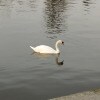 https://cdn-ostrovok-ru-ion.test.edgekey.net/t/100x100/hotel_review/25/8b/258bb5a3043cc38da98e0fb7dbb3431650764af6.jpeg