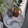 https://cdn-ostrovok-ru-ion.test.edgekey.net/t/100x100/hotel_review/25/d2/25d2e928fb897073a6bfc3459288365860aeacac.JPEG