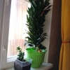 https://cdn-ostrovok-ru-ion.test.edgekey.net/t/100x100/hotel_review/25/f3/25f330aabfbd3ee1c4a8b7bba3562aee39c0c250.JPEG