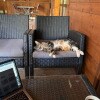 https://cdn-ostrovok-ru-ion.test.edgekey.net/t/100x100/hotel_review/25/f7/25f7a804139dcca0365e60878f148fc6a1b06052.JPEG