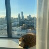 https://cdn-ostrovok-ru-ion.test.edgekey.net/t/100x100/hotel_review/26/39/2639eeb68288fae59c4bb56724c765d39cd4cac3.JPEG