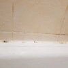https://cdn-ostrovok-ru-ion.test.edgekey.net/t/100x100/hotel_review/26/4d/264d8c6564c4e397e2c3cb2ca2ced224ec2f72b8.jpeg