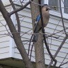 https://cdn-ostrovok-ru-ion.test.edgekey.net/t/100x100/hotel_review/26/5d/265d864434aaeaf3b79aa34d82c9fc513cdc7f8a.JPEG