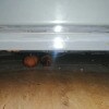 https://cdn-ostrovok-ru-ion.test.edgekey.net/t/100x100/hotel_review/26/c4/26c40381e4c7f7f8569d4ed8e79c08f9b4d529b9.JPEG