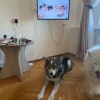 https://cdn-ostrovok-ru-ion.test.edgekey.net/t/100x100/hotel_review/26/c4/26c4de4df69e8ef2ea69cc7f743c2cbddb4849f7.JPEG