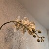 https://cdn-ostrovok-ru-ion.test.edgekey.net/t/100x100/hotel_review/26/ca/26ca2d05706d22742f7d7afaadf2ea5993e374b6.jpeg
