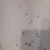 https://cdn-ostrovok-ru-ion.test.edgekey.net/t/100x100/hotel_review/26/e3/26e3accbef332cfeaa060782358777acbbfdf985.JPEG