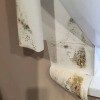https://cdn-ostrovok-ru-ion.test.edgekey.net/t/100x100/hotel_review/26/fa/26faab22e21f97336a5a7779b34b8c7124ec2ce4.JPEG
