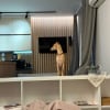 https://cdn-ostrovok-ru-ion.test.edgekey.net/t/100x100/hotel_review/27/14/2714e08d6bce03bcd4c64a5b7be0c8cd760923fc.JPEG