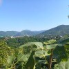 https://cdn-ostrovok-ru-ion.test.edgekey.net/t/100x100/hotel_review/27/2a/272a8061d4e63e35d96c76d888ae868b9971459b.jpeg