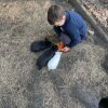 https://cdn-ostrovok-ru-ion.test.edgekey.net/t/100x100/hotel_review/27/2d/272de0007e633182c818706de13d5e4477308c61.JPEG