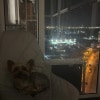 https://cdn-ostrovok-ru-ion.test.edgekey.net/t/100x100/hotel_review/27/5a/275a89cfc79bb80718a5b8ee13551852f1daa913.JPEG