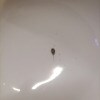 https://cdn-ostrovok-ru-ion.test.edgekey.net/t/100x100/hotel_review/27/67/2767d147b06ca9e9570f111ef32957fea0b4c323.jpeg