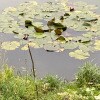https://cdn-ostrovok-ru-ion.test.edgekey.net/t/100x100/hotel_review/27/82/2782497c40ebbe440b9d28bd9c19bc374e3a0d8d.JPEG