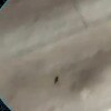 https://cdn-ostrovok-ru-ion.test.edgekey.net/t/100x100/hotel_review/27/8e/278ed9b22b80e942e783c686fc06442442a07449.JPEG
