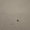 https://cdn-ostrovok-ru-ion.test.edgekey.net/t/100x100/hotel_review/27/ae/27aefa91d5e9321849c02399aa694bde5597deca.JPEG