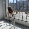 https://cdn-ostrovok-ru-ion.test.edgekey.net/t/100x100/hotel_review/27/b4/27b444a5df6ae9c3c3af567615f3b0af81ab088b.JPEG