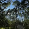 https://cdn-ostrovok-ru-ion.test.edgekey.net/t/100x100/hotel_review/28/26/28263bedc57629b148d760940455f23e18e8deb8.JPEG