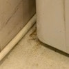 https://cdn-ostrovok-ru-ion.test.edgekey.net/t/100x100/hotel_review/28/30/2830bd61a0a34abf1288e77ec29d711287cd31ed.JPEG