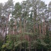 https://cdn-ostrovok-ru-ion.test.edgekey.net/t/100x100/hotel_review/28/37/2837322bb07657119a6668544fc5b225142f2a11.JPEG
