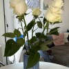 https://cdn-ostrovok-ru-ion.test.edgekey.net/t/100x100/hotel_review/28/d6/28d64e15adc16c71f55e30cf78697468d31cc636.JPEG