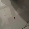 https://cdn-ostrovok-ru-ion.test.edgekey.net/t/100x100/hotel_review/28/e4/28e4228e7e5c8e017f271faa6cd197f48dcf293d.JPEG