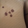 https://cdn-ostrovok-ru-ion.test.edgekey.net/t/100x100/hotel_review/28/e5/28e5916102106d15fe22a46d0ab1465d9ead7a49.JPEG