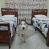 https://cdn-ostrovok-ru-ion.test.edgekey.net/t/100x100/hotel_review/29/3b/293bdf7b43023024410544505530ef18f3859e50.jpeg