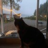 https://cdn-ostrovok-ru-ion.test.edgekey.net/t/100x100/hotel_review/29/5a/295ae0a4817a174ac2cc6120147567ec265a5536.JPEG