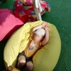 https://cdn-ostrovok-ru-ion.test.edgekey.net/t/100x100/hotel_review/29/6a/296af111aa753a58128ee55cbc16c30720d927b5.jpeg