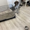 https://cdn-ostrovok-ru-ion.test.edgekey.net/t/100x100/hotel_review/29/79/29793297b56e986315b0ac30f9dfdd87825f701b.JPEG