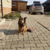 https://cdn-ostrovok-ru-ion.test.edgekey.net/t/100x100/hotel_review/29/9c/299ca30aa2d3e5cbb2075e051b46da289cd55555.JPEG