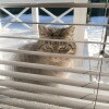 https://cdn-ostrovok-ru-ion.test.edgekey.net/t/100x100/hotel_review/29/9d/299d700d3487ebaa2fb3347330e521c6c06a2122.JPEG