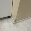 https://cdn-ostrovok-ru-ion.test.edgekey.net/t/100x100/hotel_review/2a/02/2a02cdeec0bc8d595c82d6543148c5755c0506b9.JPEG
