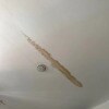 https://cdn-ostrovok-ru-ion.test.edgekey.net/t/100x100/hotel_review/2a/1e/2a1e7b0a8534d63313b63bc0af4e1f5439b22f71.JPEG