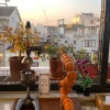 https://cdn-ostrovok-ru-ion.test.edgekey.net/t/100x100/hotel_review/2a/37/2a373592884dcc822467da9eeb99ebed230559a4.jpeg