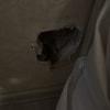 https://cdn-ostrovok-ru-ion.test.edgekey.net/t/100x100/hotel_review/2a/c9/2ac9ffd05469bfaecf4987b6c5815d31e8bfefb5.JPEG
