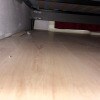 https://cdn-ostrovok-ru-ion.test.edgekey.net/t/100x100/hotel_review/2b/45/2b4582cb61048e1a29b12de029544eaf5b6fc519.JPEG