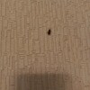 https://cdn-ostrovok-ru-ion.test.edgekey.net/t/100x100/hotel_review/2b/be/2bbec01b0edf04e4e55c720eeced38933422b8fe.jpeg