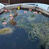 https://cdn-ostrovok-ru-ion.test.edgekey.net/t/100x100/hotel_review/2b/d2/2bd2e9ec842452e8cc1930b3684f7383d48c576e.JPEG